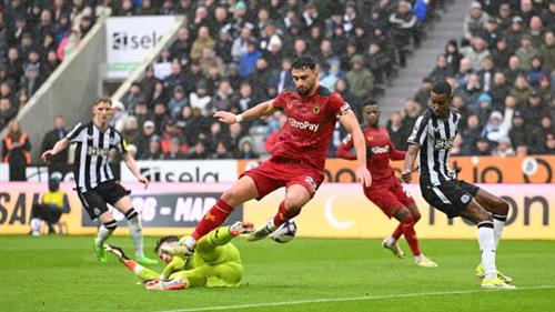 Newcastle United contra lobos