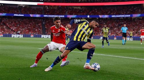 Benfica vs Fenerbahçe